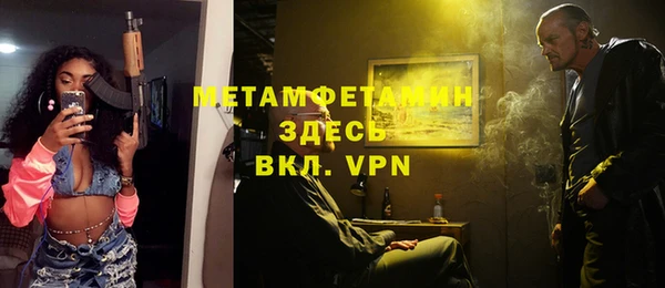 индика Михайловск