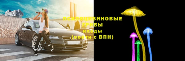 хмурый Михайлов
