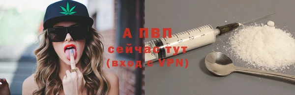 индика Михайловск
