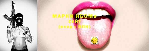 индика Михайловск