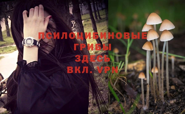 индика Михайловск