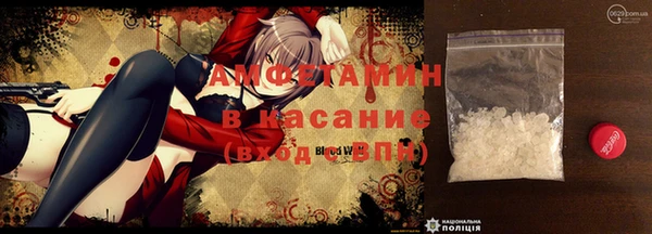 индика Михайловск