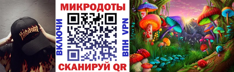 Псилоцибиновые грибы мухоморы  где купить наркоту  Мурино 