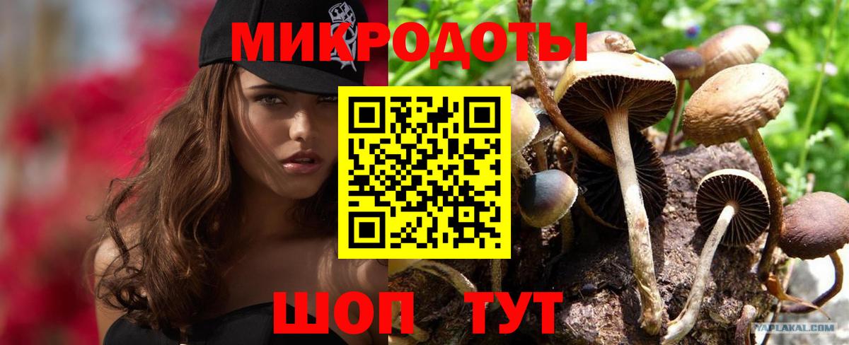 Мурино  Галлюциногенные грибы мухоморы  Вход с VPN  Псилоцибиновые грибы мицелий 